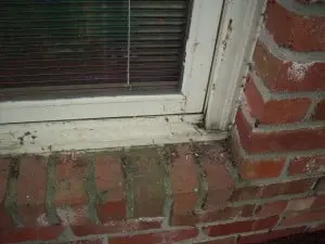 Project photo — New Life to Our Old Home!