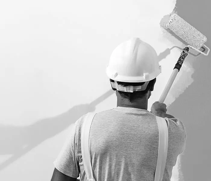Project photo — Best Painter in Fishers & Indianapolis 2022 – Guy Painting