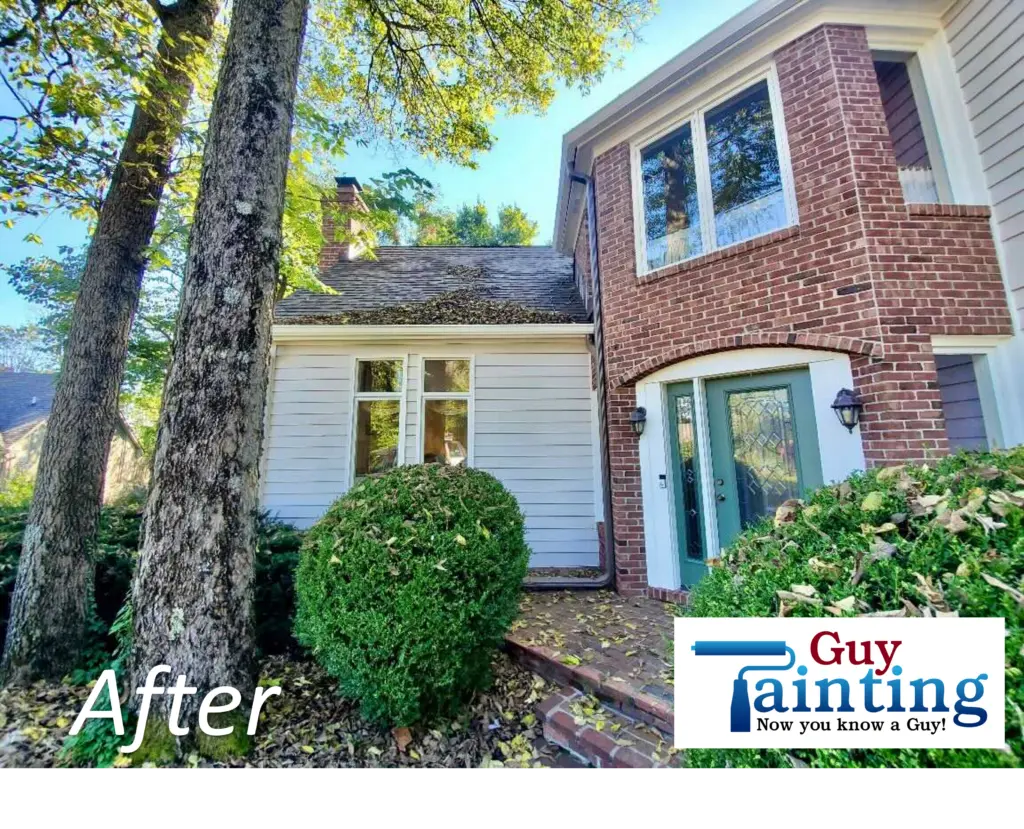 Project photo — Geist Home Gets a Fresh, Natural Color Change