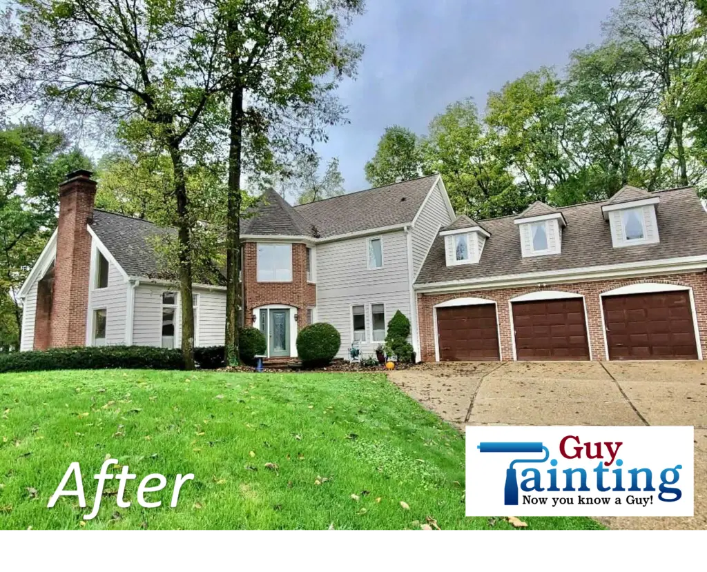 Project photo — Geist Home Gets a Fresh, Natural Color Change