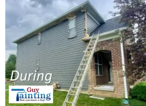 Project photo — Westfield Home Gets Modern Color Update