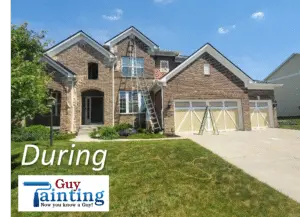 Project photo — Westfield Home Gets Modern Color Update