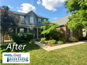 Project photo — Guy Painting Reviews