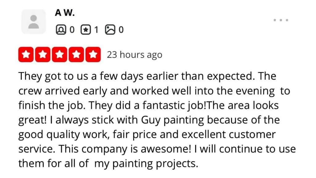 Screenshot of an online customer review of Guy Painting